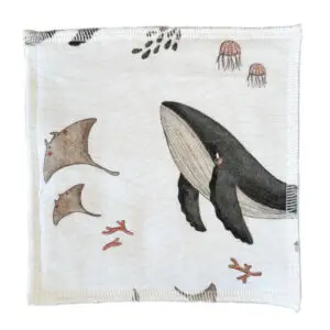 Wasbare snoetenpoetser Walvis